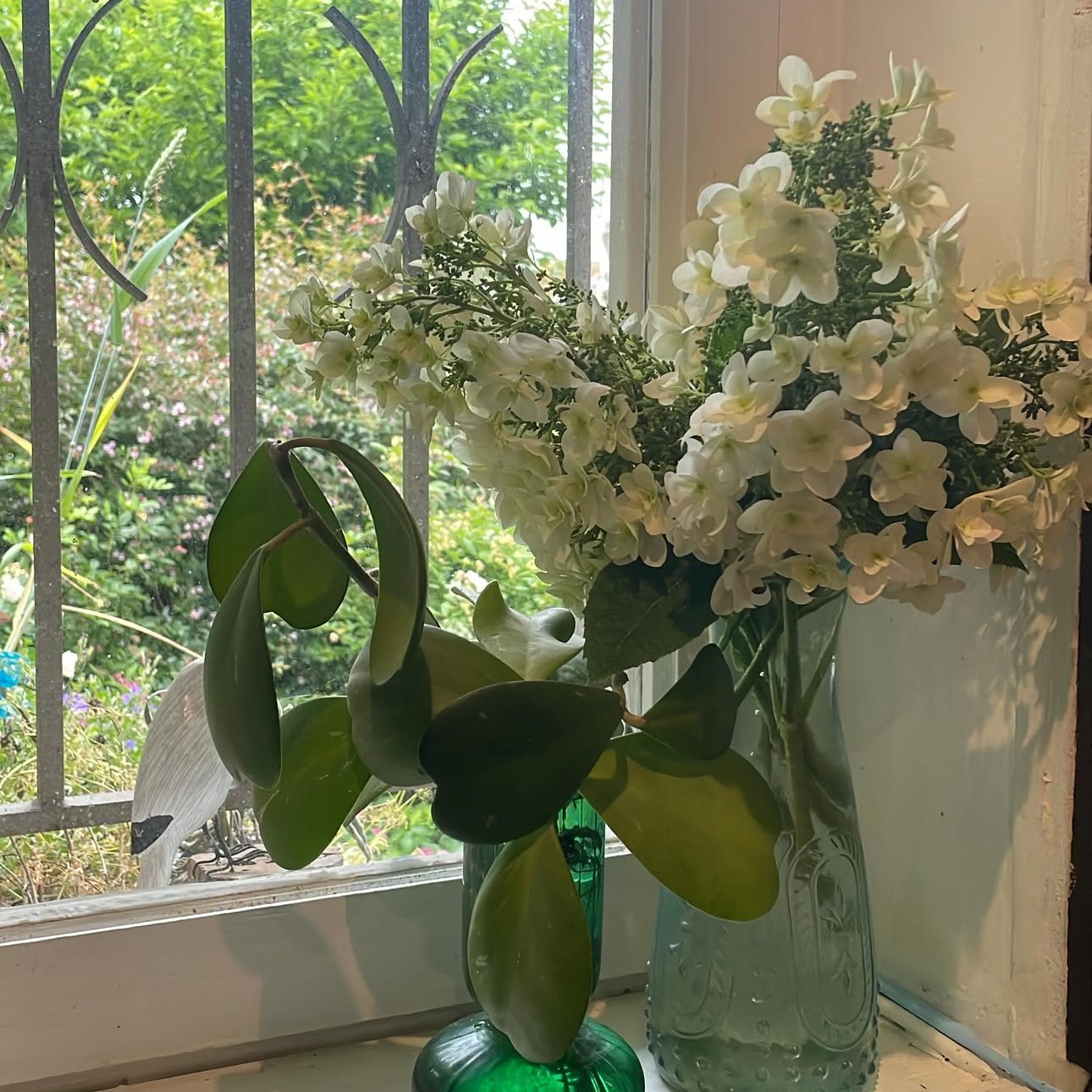 Bouquet blanc près d’une fenêtre
