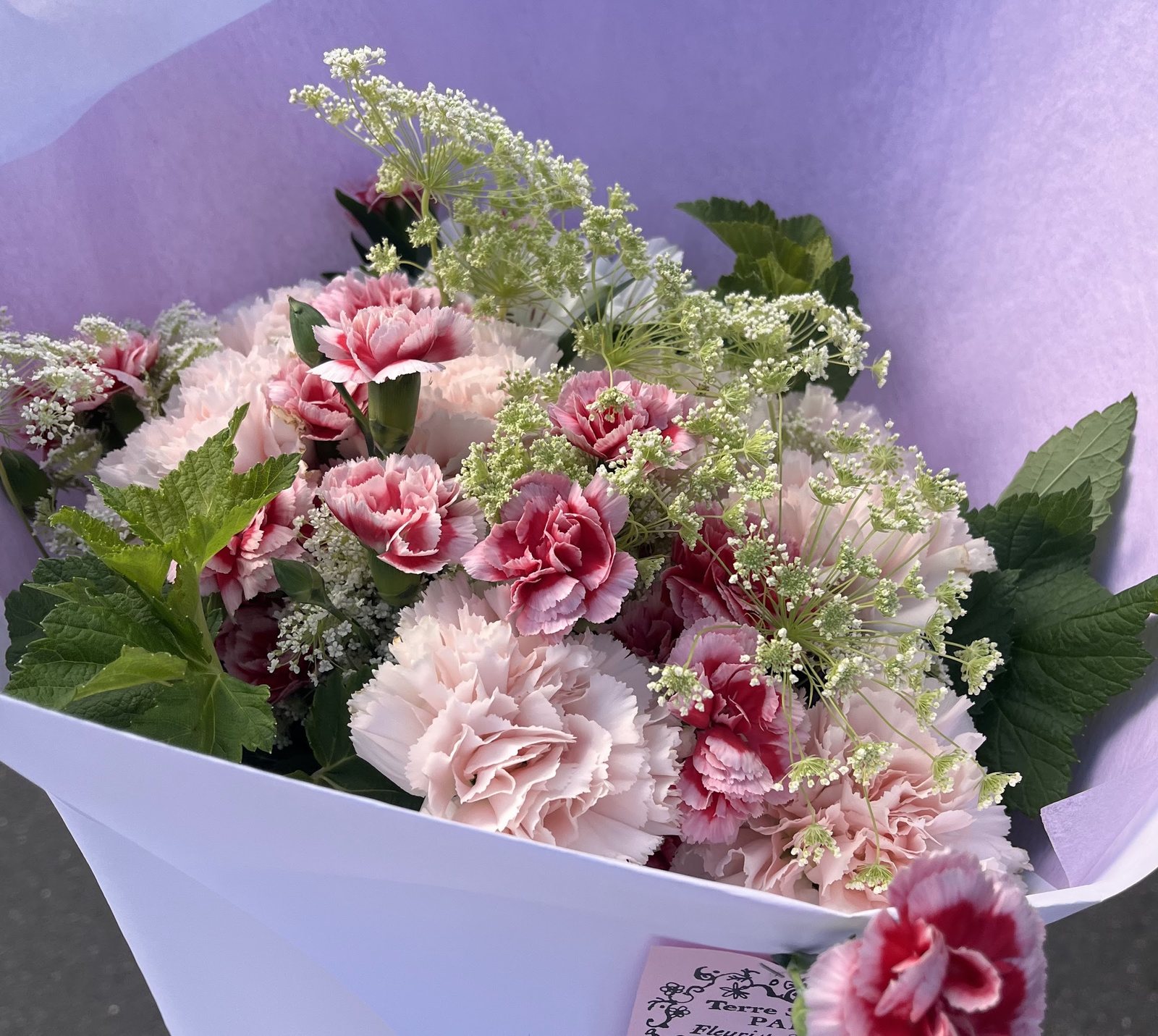 Bouquet d’œillets roses et d’ombelles blanches