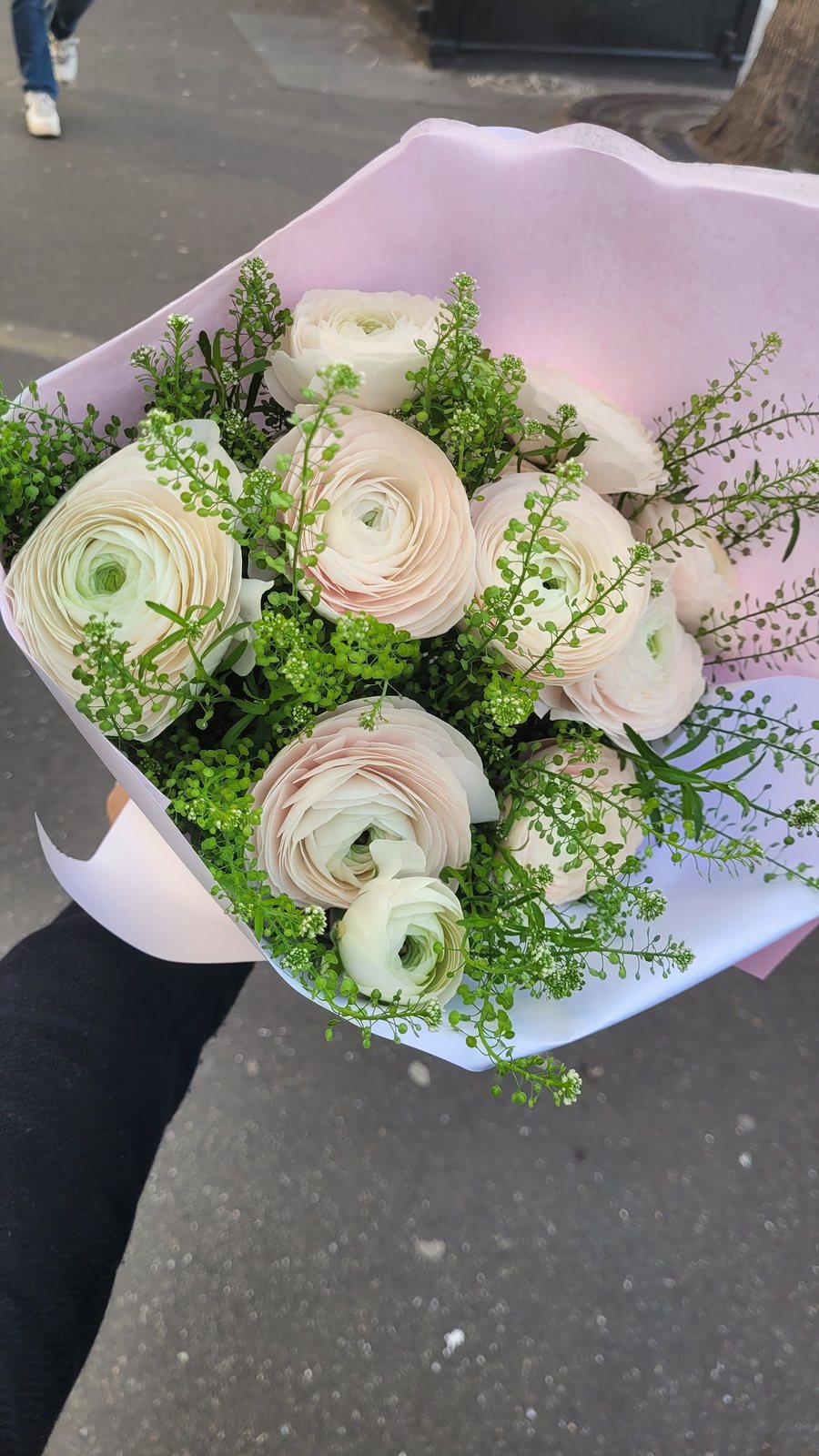 Bouquet de renoncules blanches