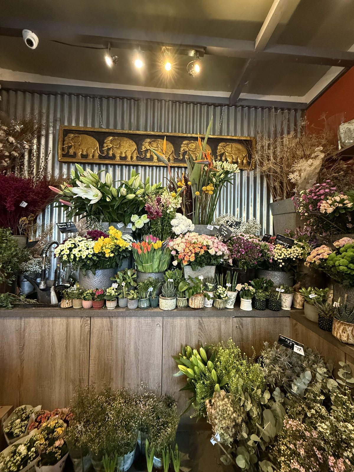 L’intérieur de la boutique : fleurs coupées en seaux, feuillages et fleurs séchées