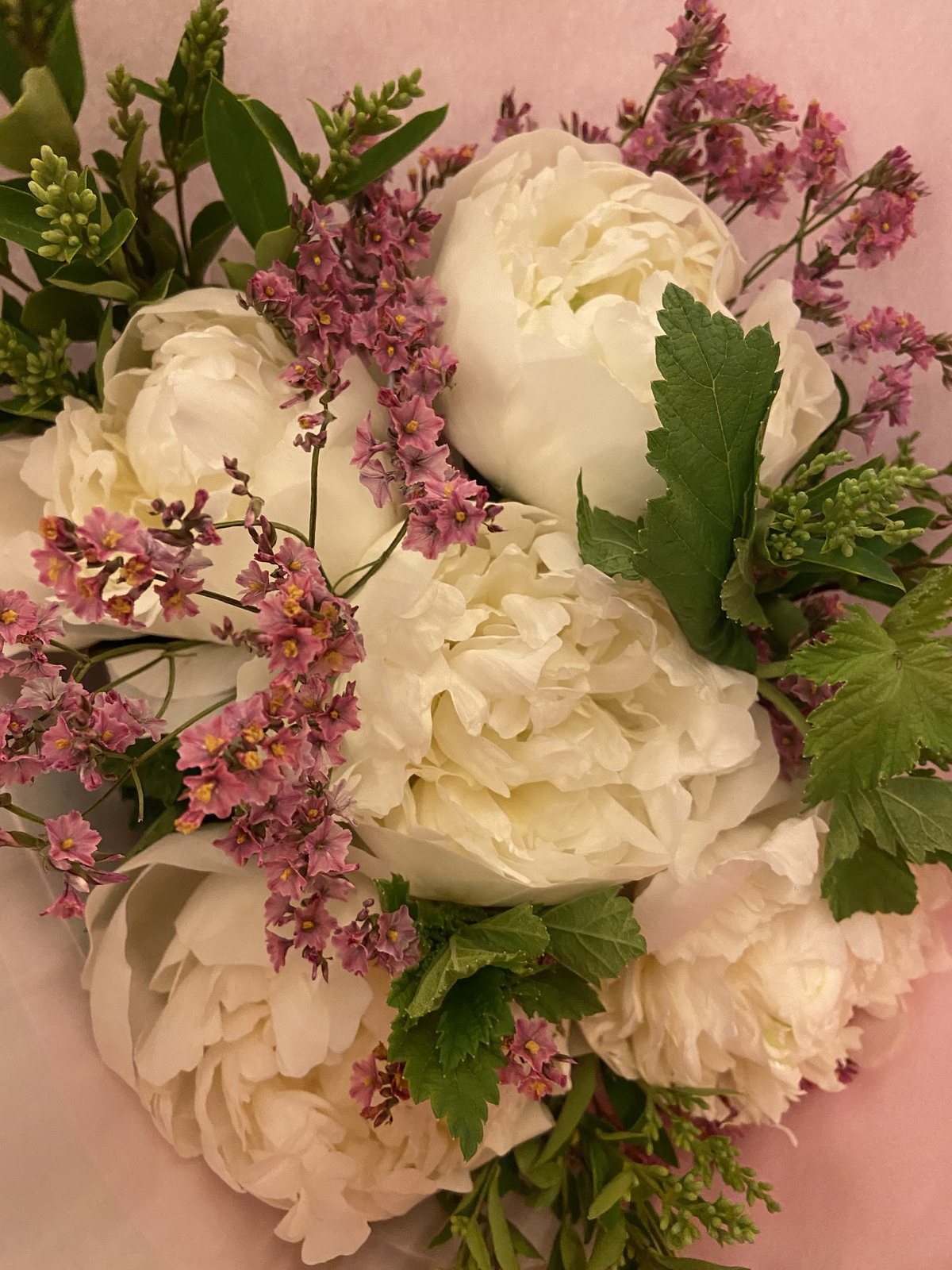 Pivoines blanches et feuillages roses